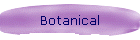 Botanical